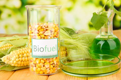 Hen Bentref Llandegfan biofuel availability