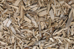 biomass boilers Hen Bentref Llandegfan